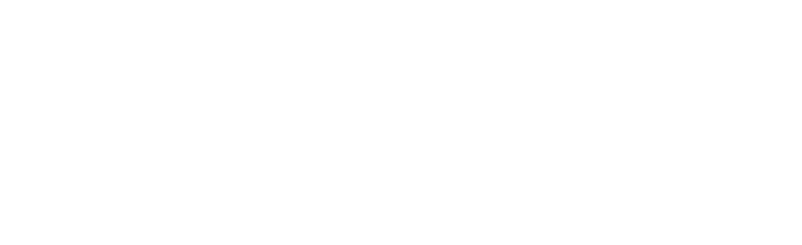 OWASP logo